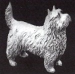 Cairn Terrier