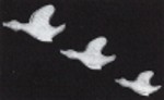 Three Flying Ducks (wall plaques)